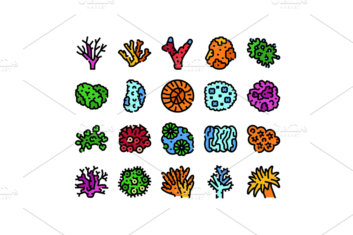Colorful coral and underwater marine, an Animal Illustration by pikepicture
