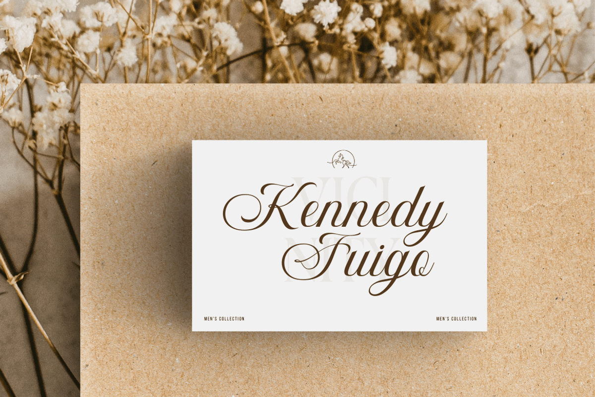 Bidena | Script Font, a Script Font by twinstd (Photo 3 of 11)