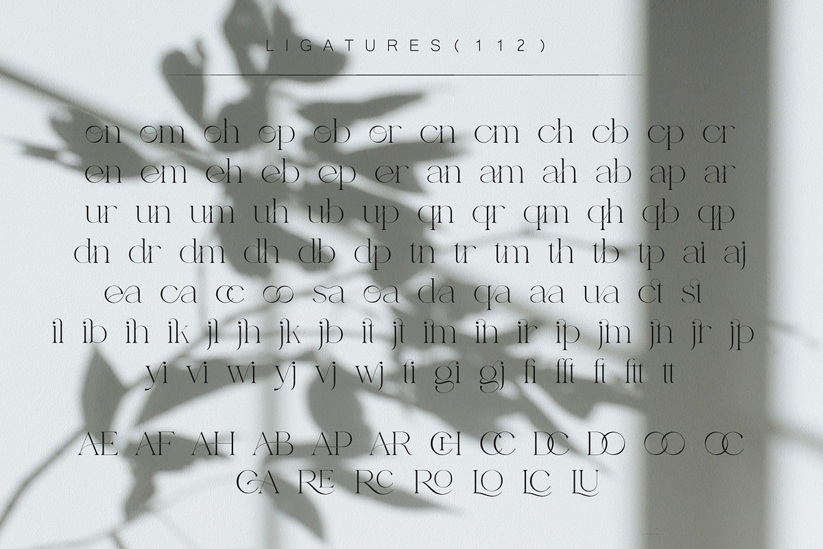 Basgem – Modern Serif Typeface, a Serif Font by Issam Type (Photo 16 of 18)