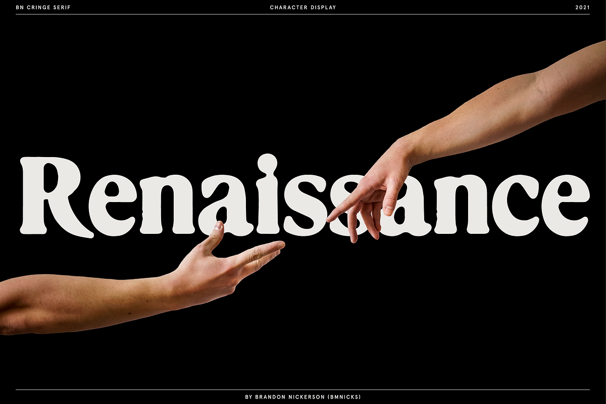 Cringe Serif, a Serif Font by Bnick (Photo 9 of 13)