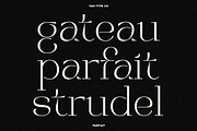 TAN - PARFAIT, a Serif Font by TanType (Thumbnail 21 of 21)