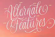 Melorine, a Script Font by Typeskets (Thumbnail 7 of 10)