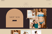 Shopify Theme | Moon Blinked, a Templates & Theme by Easy Website Themes (Thumbnail 1 of 8)
