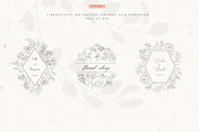 Botanical Alphabet & Monograms., a Decorative Illustration by Designwork (Thumbnail 12 of 18)