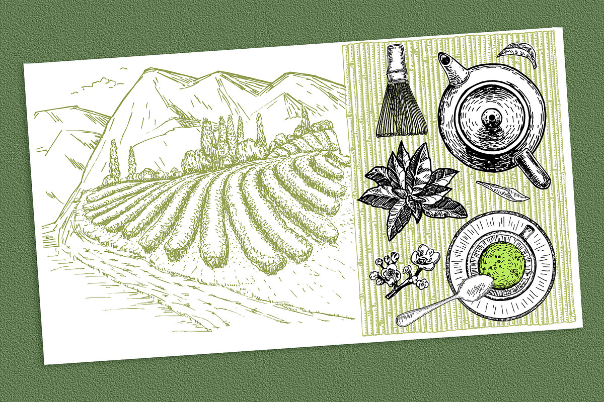 Tea Sketch Collection, an Object Graphic by Live line (Photo 7 of 10)