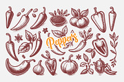Hand Drawn Peppers and Herbs Coll, a Food Illustration by MkStudio (Thumbnail 3 of 3)