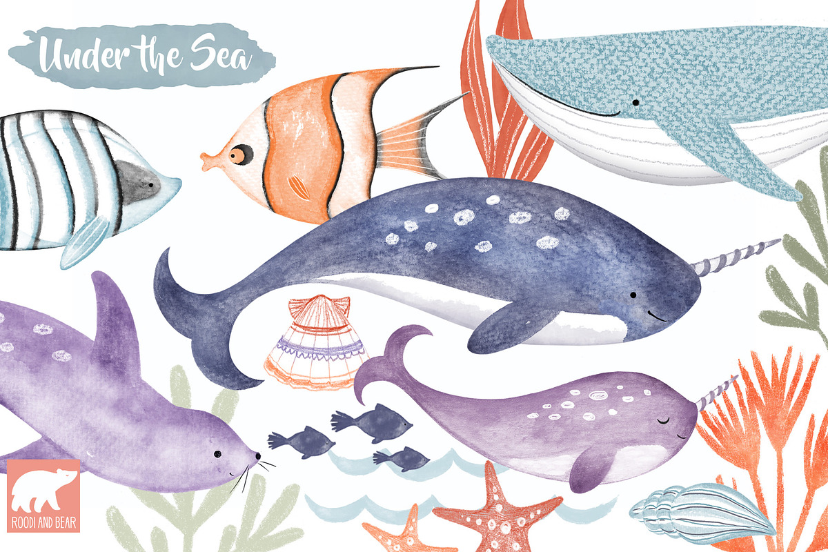 Under the Sea, Marine Watercolor Set, an Illustration by Roodi and Bear (Photo 1 of 2)
