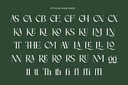 Ciparay, a Serif Font by HATFSTUDIO (Thumbnail 9 of 9)