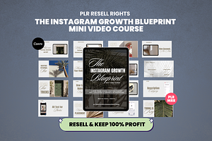 MRR Instagram Growth Video Course