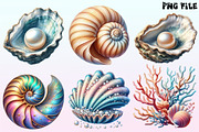Ocean Sea Shell Sublimation PNG, a Graphic by CitraGraphics (Thumbnail 2 of 4)