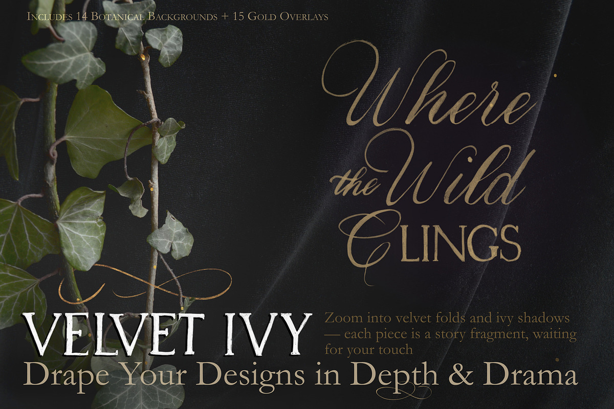 Velvet Ivy – Botanical Backgrounds |, a Background Graphic by Aga Silva (Photo 8 of 9)
