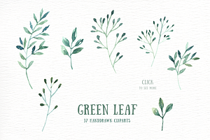 Green Leaf Watercolor Clipart