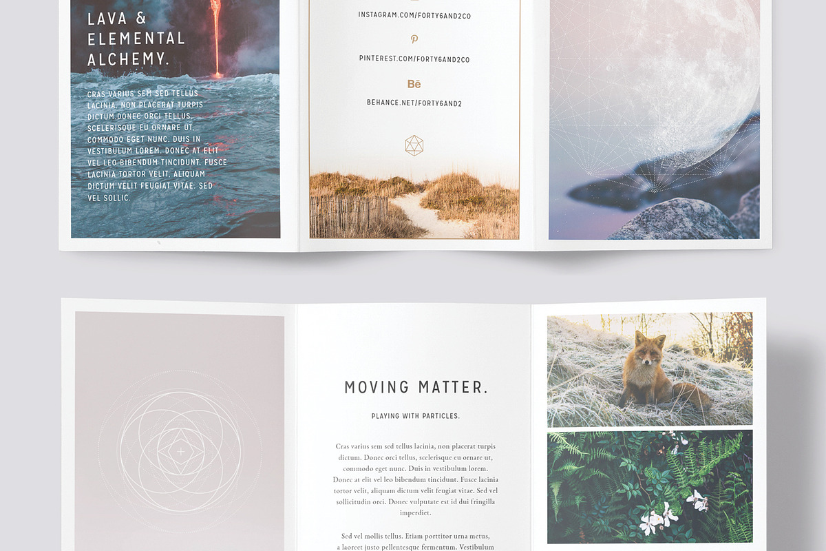 LUMINA Trifold Brochure, a Brochure Template by 46&2 Collective (Photo 5 of 9)
