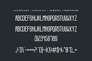 Brocksporen, a Serif Font by QR Design Studio (Thumbnail 7 of 7)