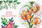 Japan native wild flowers watercolor, a Decorative Illustration by FITALARTSNEDIGI (Thumbnail 5 of 8)