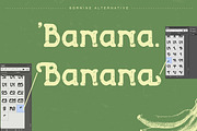 Bornine display typeface family, a Slab Serif Font by greatypes studio (Thumbnail 3 of 15)
