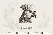 260 Birds Illustrations, an Animal Illustration by Nocturnal Wolf (Thumbnail 13 of 13)