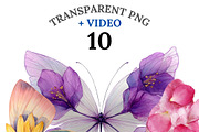 10 Butterfly Clipart PNG, an Animal Illustration by Pati Charm Studio (Thumbnail 1 of 8)