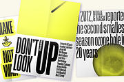 Schmidt: Narrow Variable Sans, a Sans Serif Font by nippytype (Thumbnail 7 of 7)
