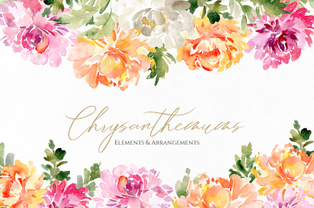 Fall Watercolor Chrysanthemums, a Decorative Illustration by GraphicsDish