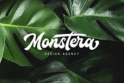 Houstander Font Duo, a Script Font by Typia Nesia (Thumbnail 2 of 9)