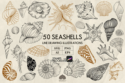 Seashells line art + Procreate, an Animal Illustration by Skliarova