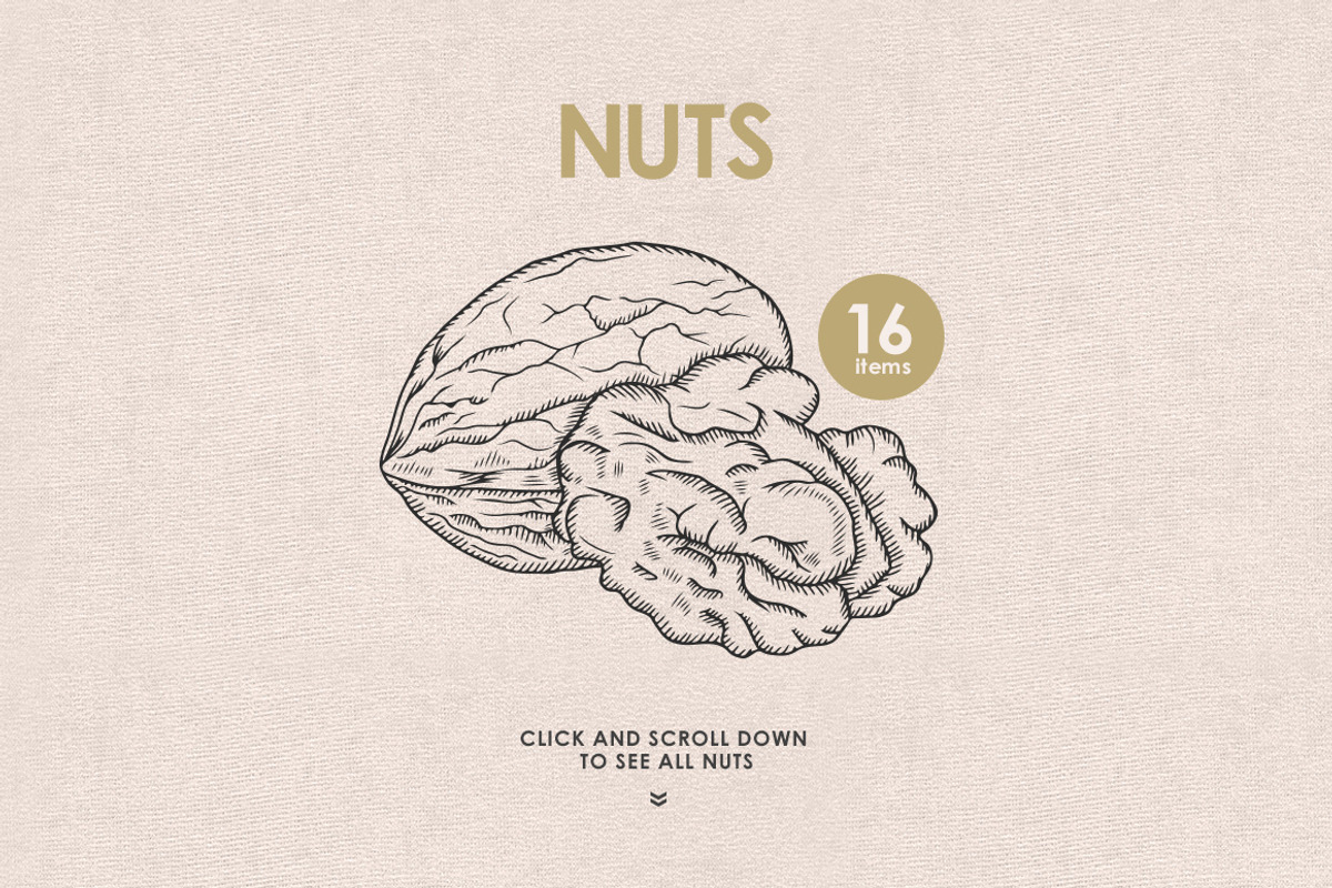 Herbs, Spices, Nuts. Hand drawn set., a Decorative Illustration by Chelovector (Photo 4 of 4)