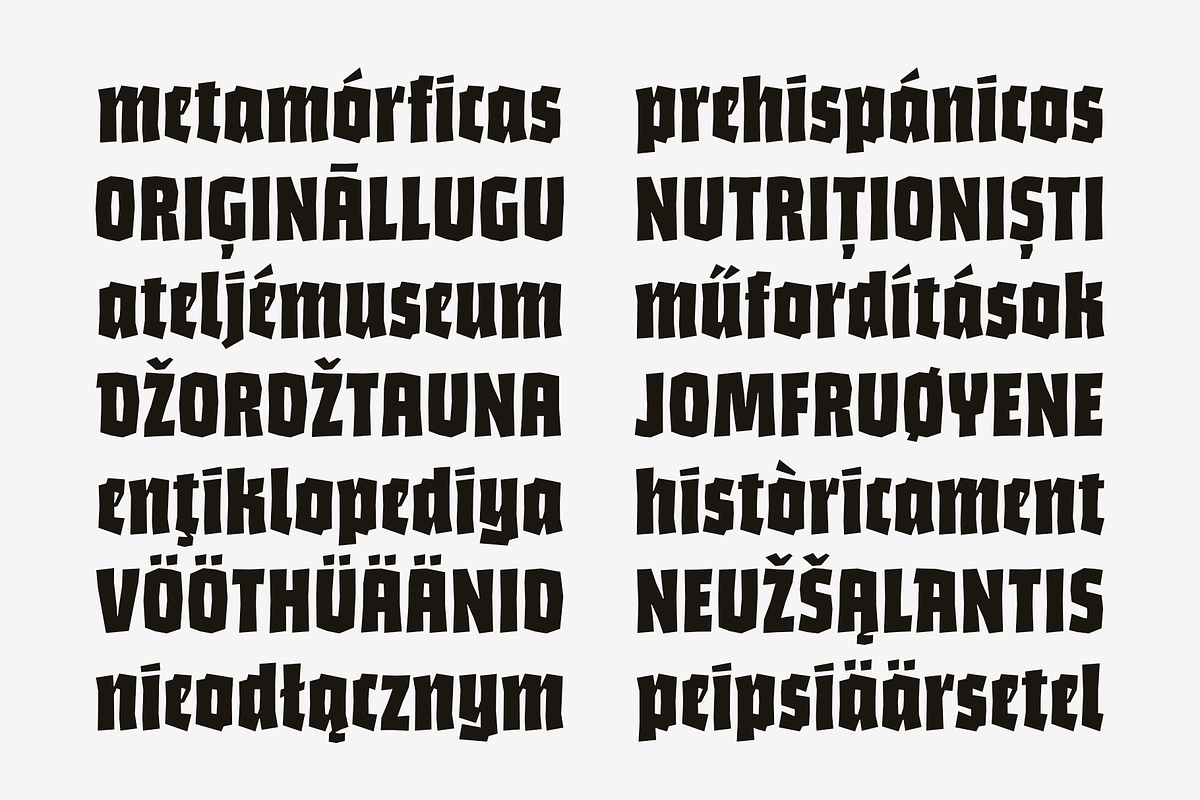 Bork: a blackletter-inspired font, a Blackletter Font by Harbor Type (Photo 3 of 12)