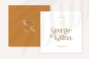 Pastel Orange - Casual Serif Fonts