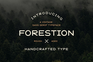 SALE : Forestion Font