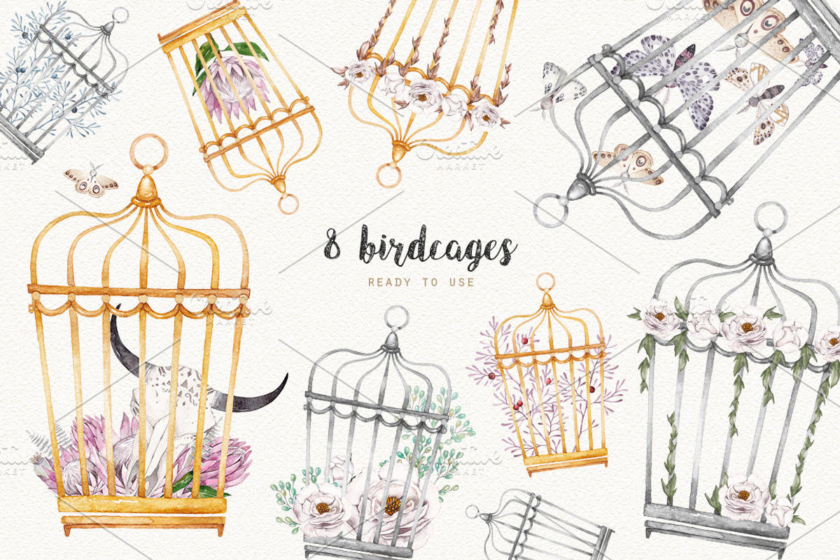 MOTHS and BIRDCAGE watercolor set, an Illustration by Natali Smolova (Photo 6 of 7)