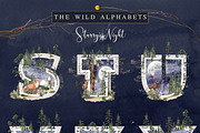 Into The Wild, an Animal Illustration by AurAandTheCat (Thumbnail 24 of 30)