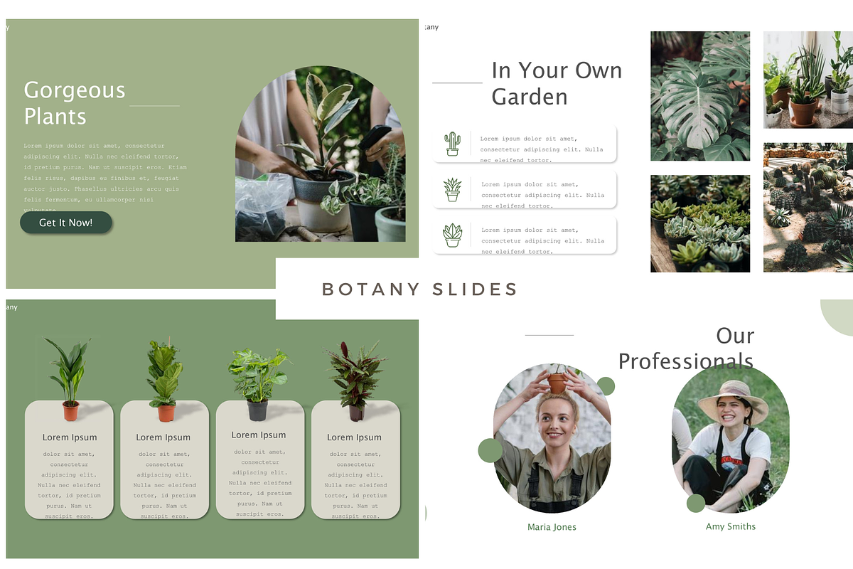 Nature Botany Powerpoint Template, a Presentation Template by PaperMoon (Photo 3 of 4)