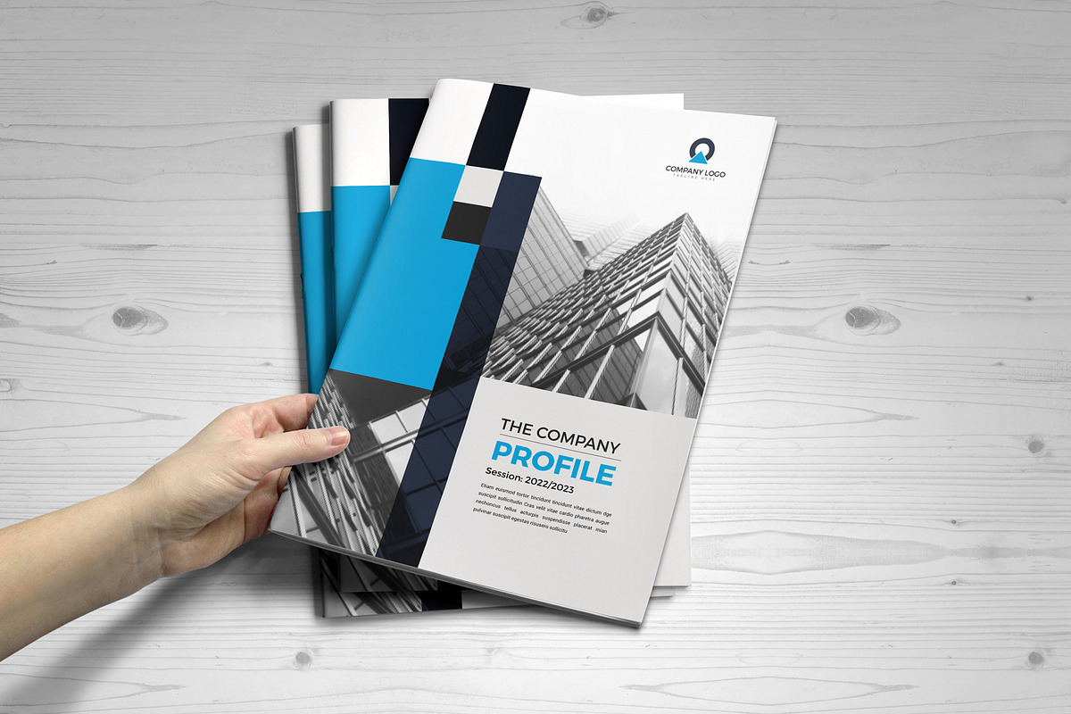 Company Profile Template V8, a Brochure Template by JanySultana (Photo 14 of 14)