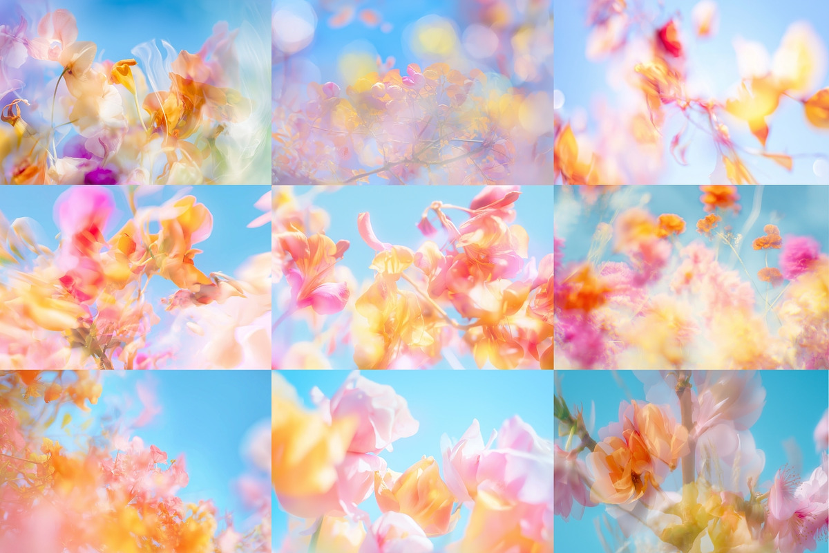 Dreamlike Floral Bloom Backgrounds, a Wallpaper Graphic by HipFonts