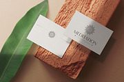 Water Lily Lotus Logo Bundle, a Branding & Logo Template by Template Dealer (Thumbnail 6 of 20)