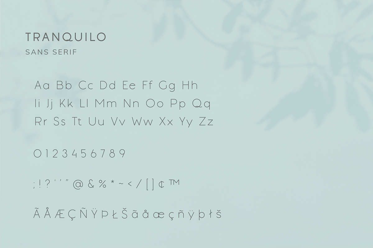 Tranquilo | Sans Serif Font, a Sans Serif Font by Vanem Studio (Photo 3 of 10)