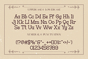 Moveiny - A Modern Serif Typeface, a Serif Font by overlaytemplates (Thumbnail 4 of 5)
