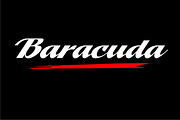 Cascadia, a Script Font by Art And Sign Unlimited (Thumbnail 2 of 4)