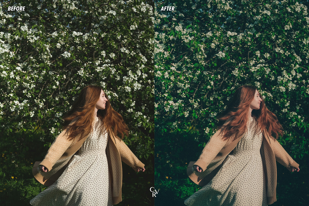 FILM LOOK LIGHTROOM PRESETS, a Preset Add-On by CVR Presets (Photo 7 of 11)