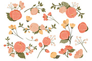 Peach Floral Vectors & Clipart, an Illustration by Amanda Ilkov (Thumbnail 2 of 3)