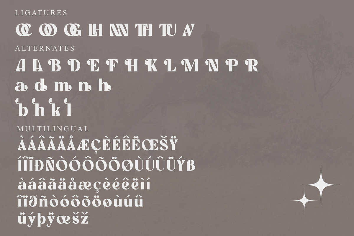 Madela Modern and Classic Serif Font, a Serif Font by Storytype Studio (Photo 14 of 15)