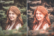 25% OFF Light & Orange Presets Pack, an Action Add-On by Andit themes (Thumbnail 7 of 13)