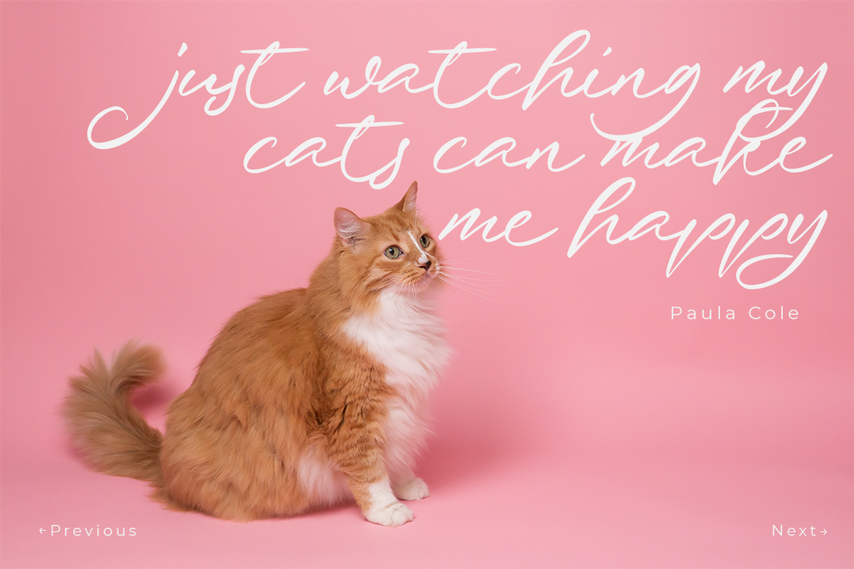 Just Quoting | A Script Font, a Script Font by Colllab Studio (Photo 12 of 24)