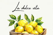 Mediterranean Lemon Clipart, an Object Graphic by Anna Design Studio (Thumbnail 9 of 9)