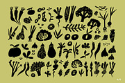 FARMERS MARKET | HAND DRAWN SHAPES, a Food Illustration by Favete Art (Thumbnail 6 of 23)