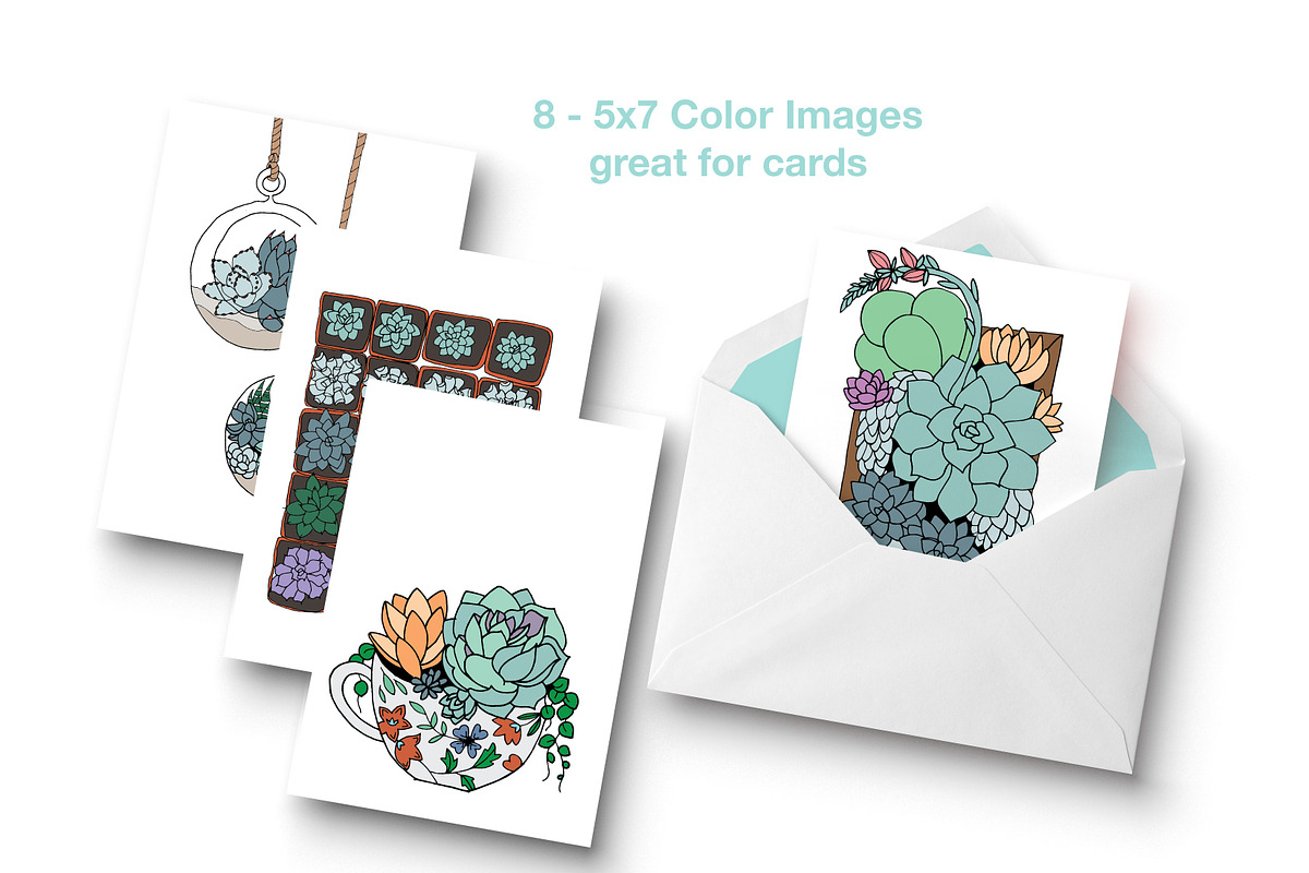 Succulent Elements & Illustrations, an Illustration by Valeri Nick (Photo 4 of 5)