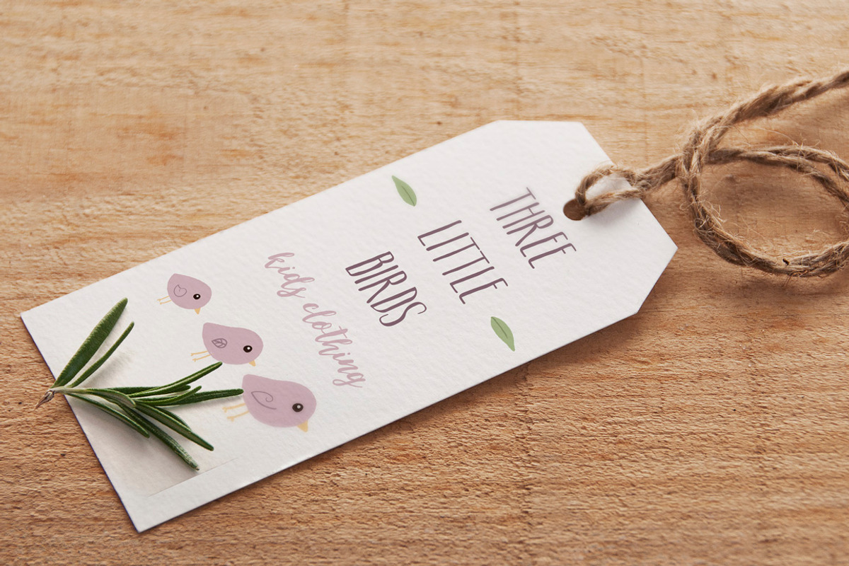 The Little Garden Collection, an Illustration by Caracol (Photo 5 of 5)