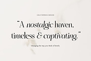 Treifany, a Serif Font by Attract Studio (Thumbnail 16 of 20)