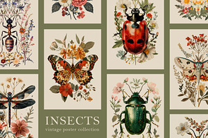 Insects Vintage Posters